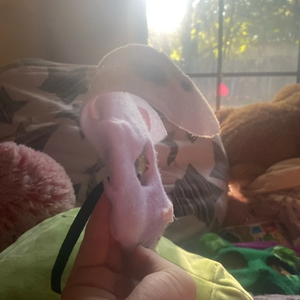 Playful Dog Face Mask